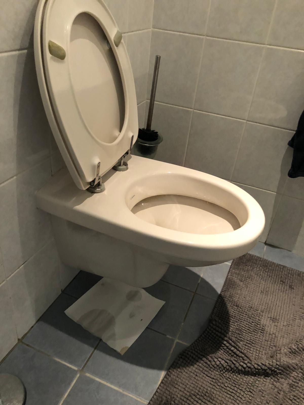 hangtoilet Kerkdriel